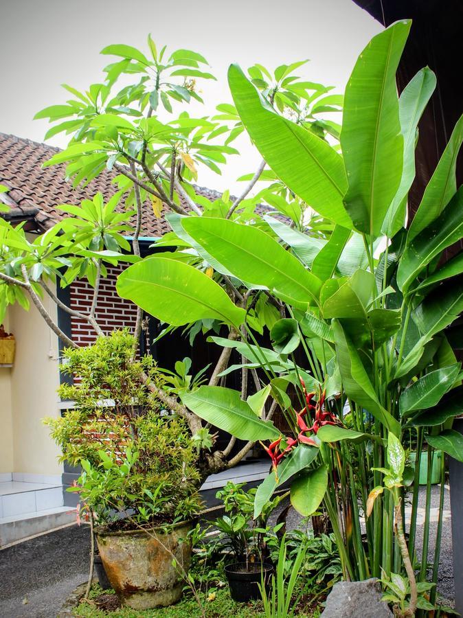 Rama Homestay Ουμπούντ Εξωτερικό φωτογραφία
